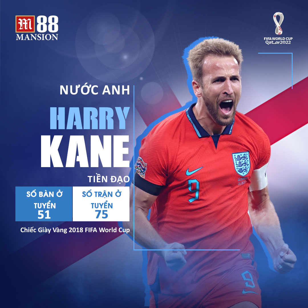 Harry Kane Player Profile