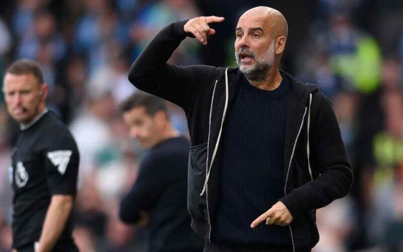 Guardiola: New Man City signings will bring fresh energy